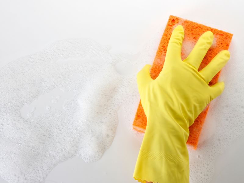 limpieza contaminacion biologica