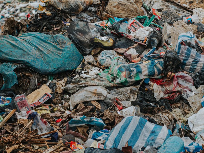 Conoces las diferentes etapas del sindrome de diogenes